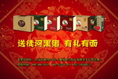 理性預期下的誤識 塞勒懲罰策略研究總結